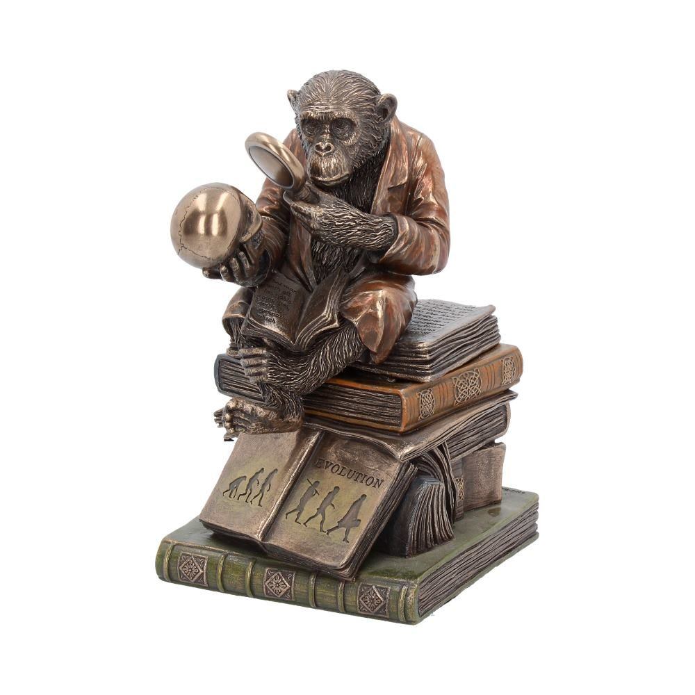 Nemesis Now - Darwinism of Evolutionary Theory Boîte décorative - Couleur bronze